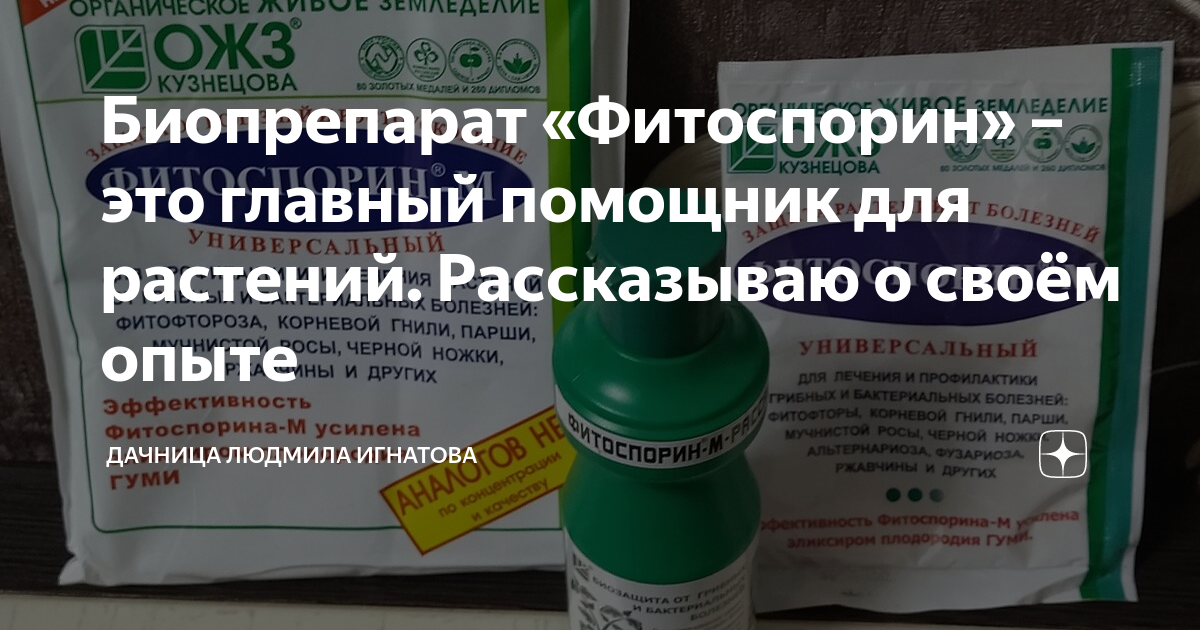 Биопрепарат «Фитоспорин» – это главный помощник для растений ...