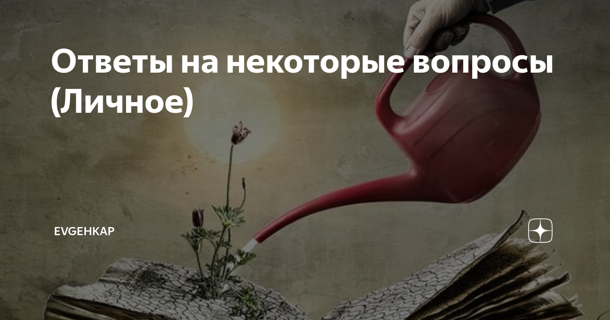 Ответы на некоторые вопросы (Личное) | Evgehkap | Дзен
