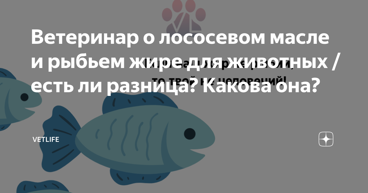 Ветеринар о лососевом масле и рыбьем жире для животных / есть ли ...