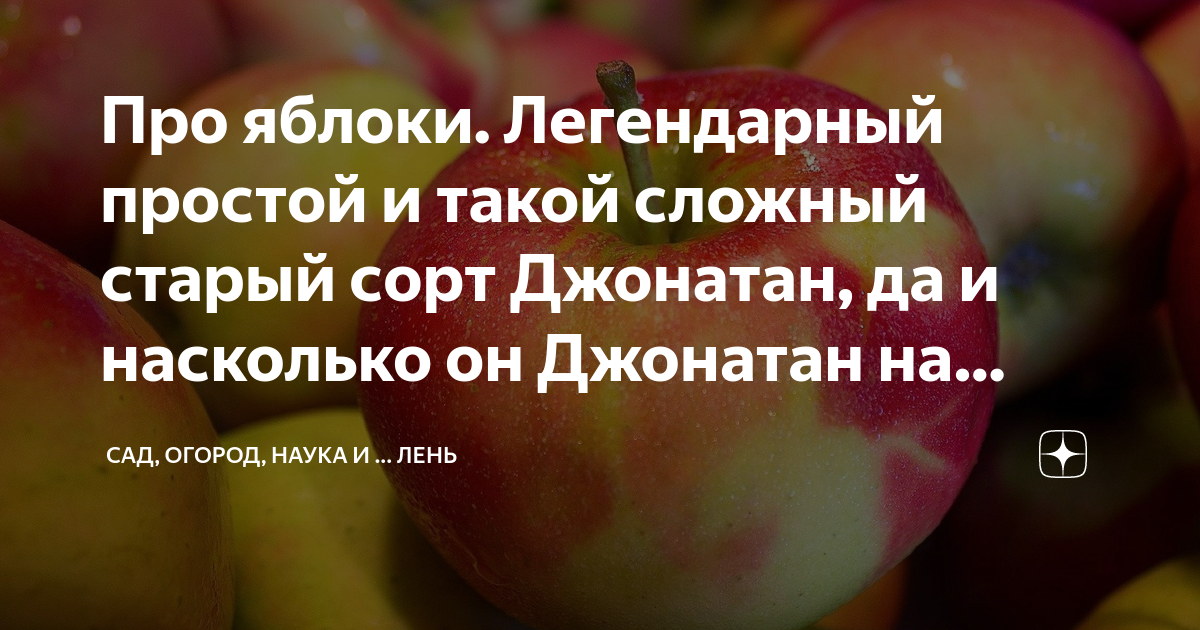 Просто легендарный. Джонатан яблоки разрез. Факты о яблоках. Болезнь Джонатана яблоки. Сравнение яблок Джонатан и Гала.