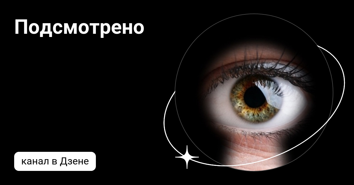 Подсмотрено | Дзен