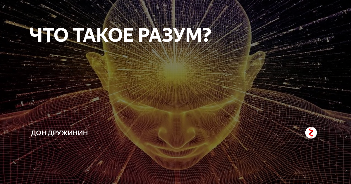 Что такое разум. Разум. Разум это в обществознании. Разум это простыми словами. Разум это в философии определение