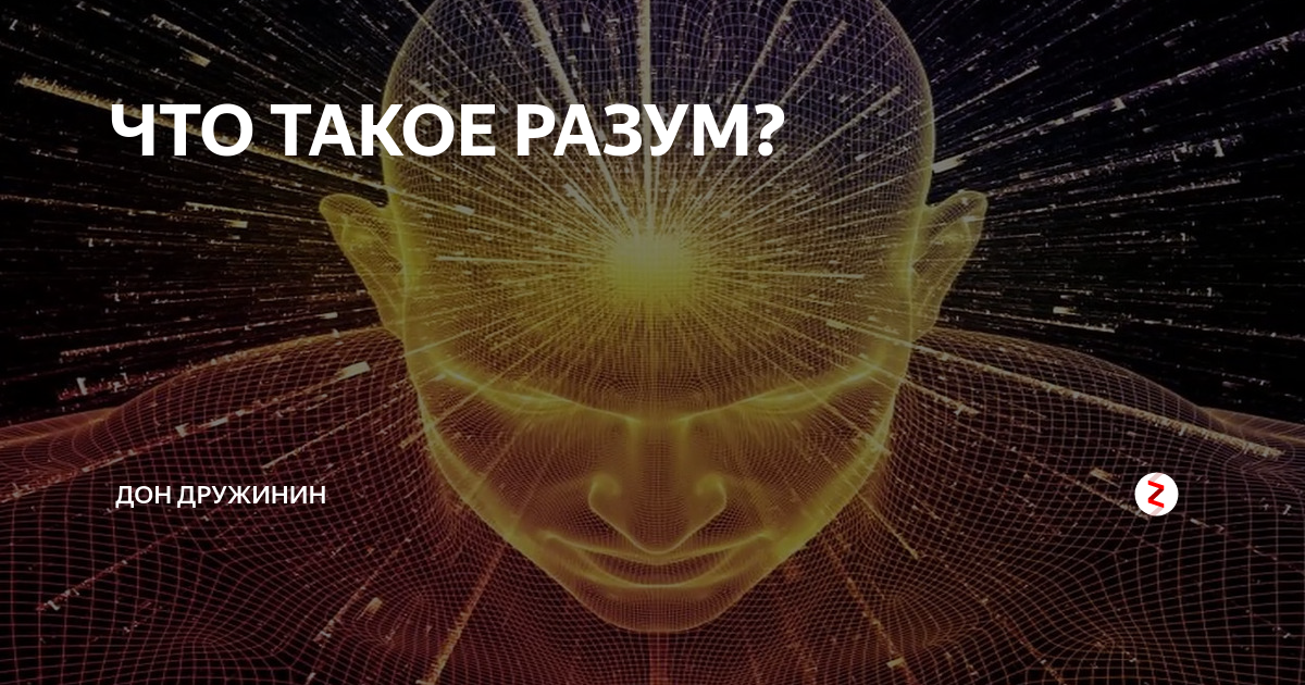 Что такое разум. Разум. Разум это в обществознании. Разум это простыми словами. Разум это в философии определение.