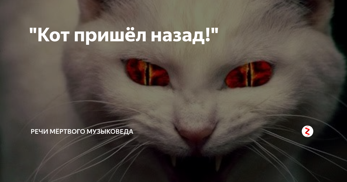Назад пришла. Кот пришел назад. Кот пришёл назад песня. Мой кот пришел. Мой кот пришел назад текст