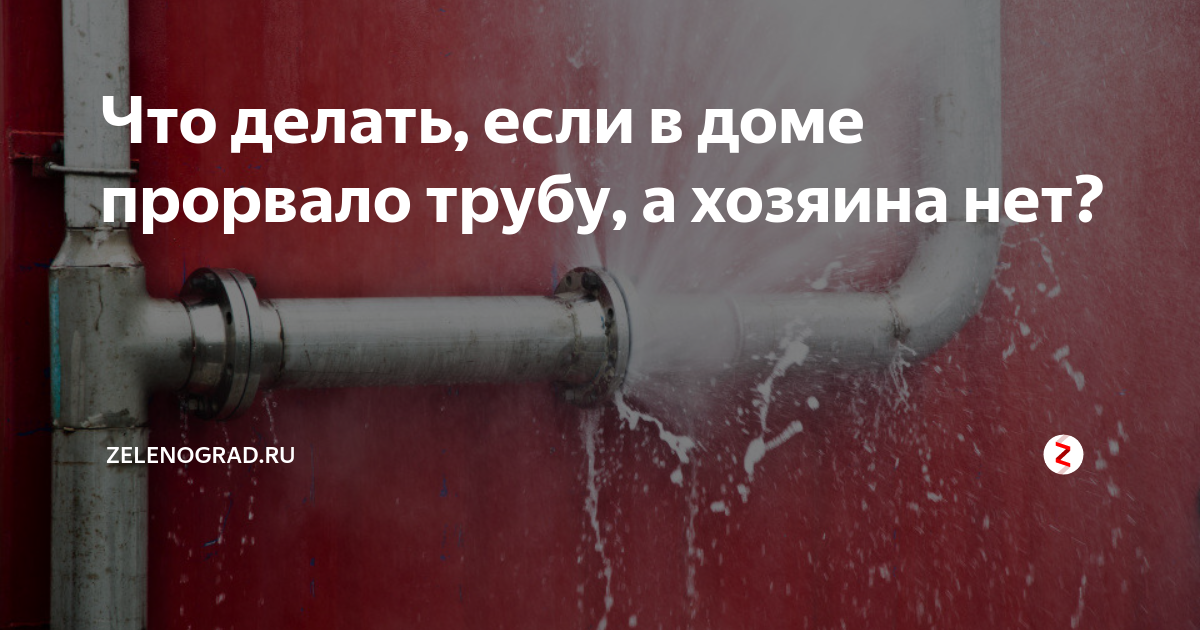 в моем доме кто то есть что делать