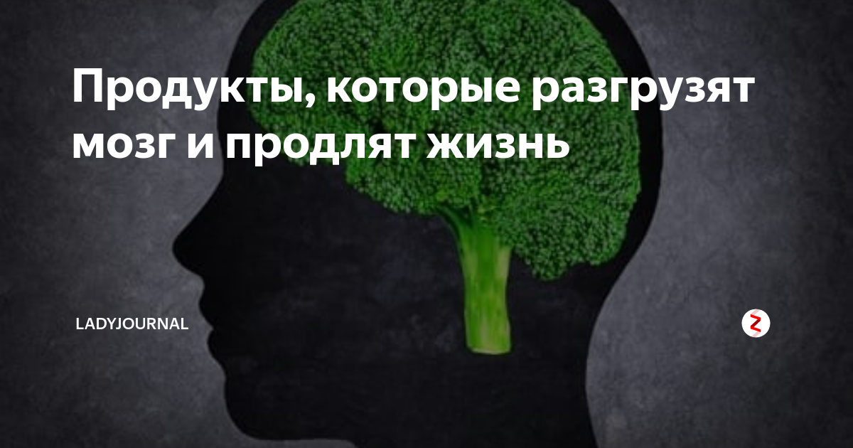 Разгрузи мозги. Как разгрузить мозг. Как быстро разгрузить мозг.