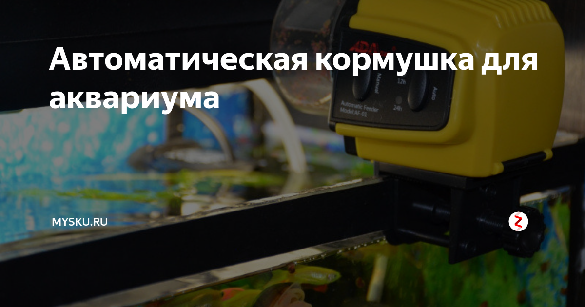 Автоматическая кормушка для аквариума | mysku.ru | Дзен