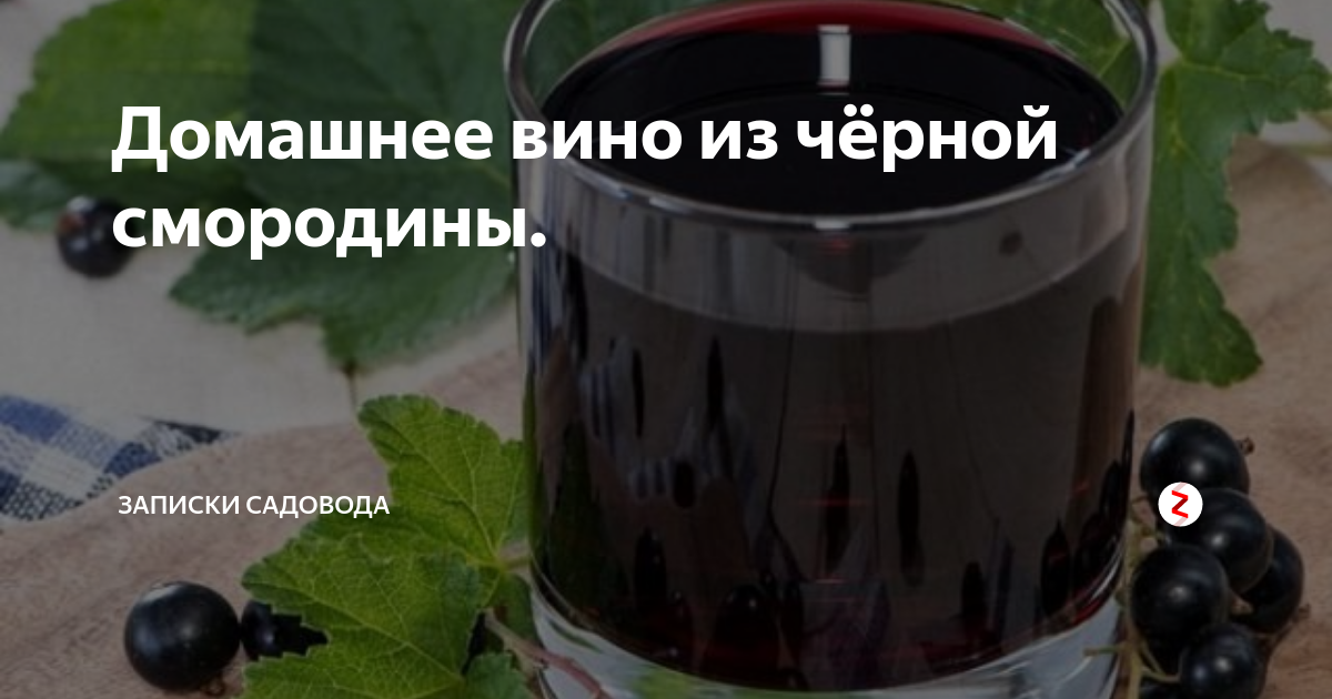 Рецепт домашнего вина черной смородины