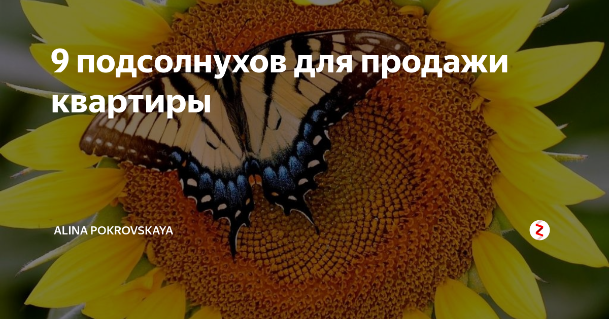 9 подсолнечников