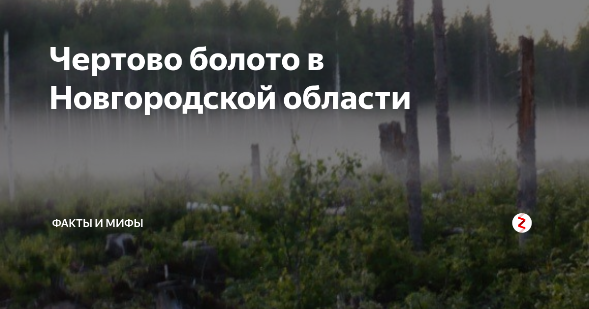 Новгородские болота. Чертово болото Новгородской области. Проклятое болото Новгородской области. Чертово болото Новгородской области на карте. Шайтан болото Новгородской области.