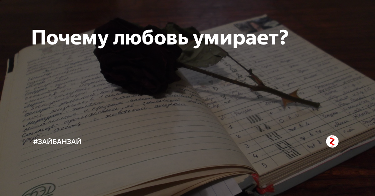 Умершая любовь. Почему любят после смерти. Проверка любви смертью. 