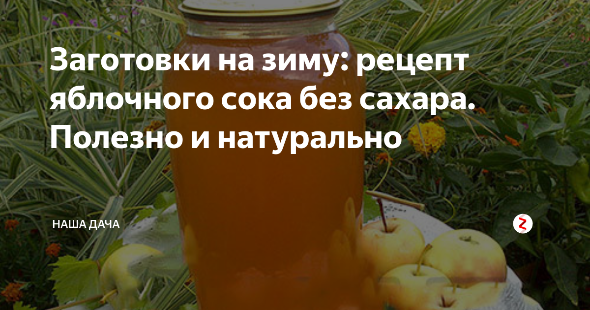 Что нужно знать о заготовке соков из овощей и фруктов на зиму. Подробные рецепты и советы