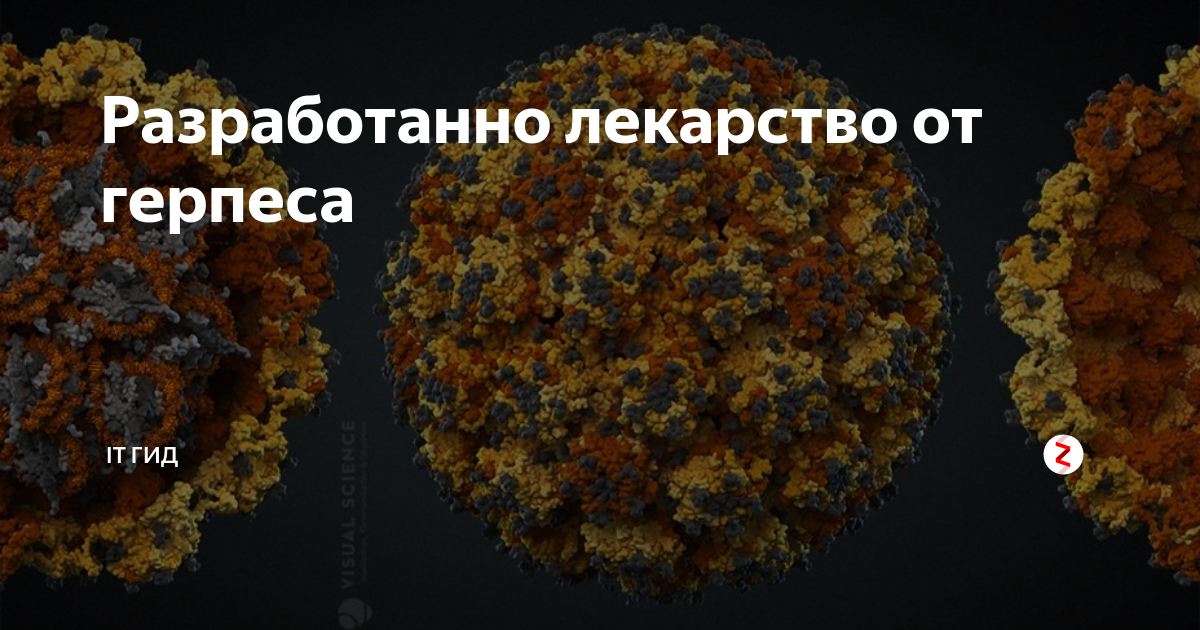 Разработанно лекарство от герпеса | IT Гид | Дзен