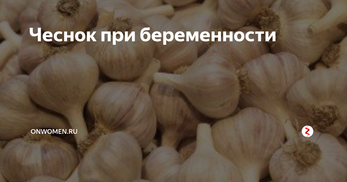 Чеснок при беременности: доводы «за» и «против»