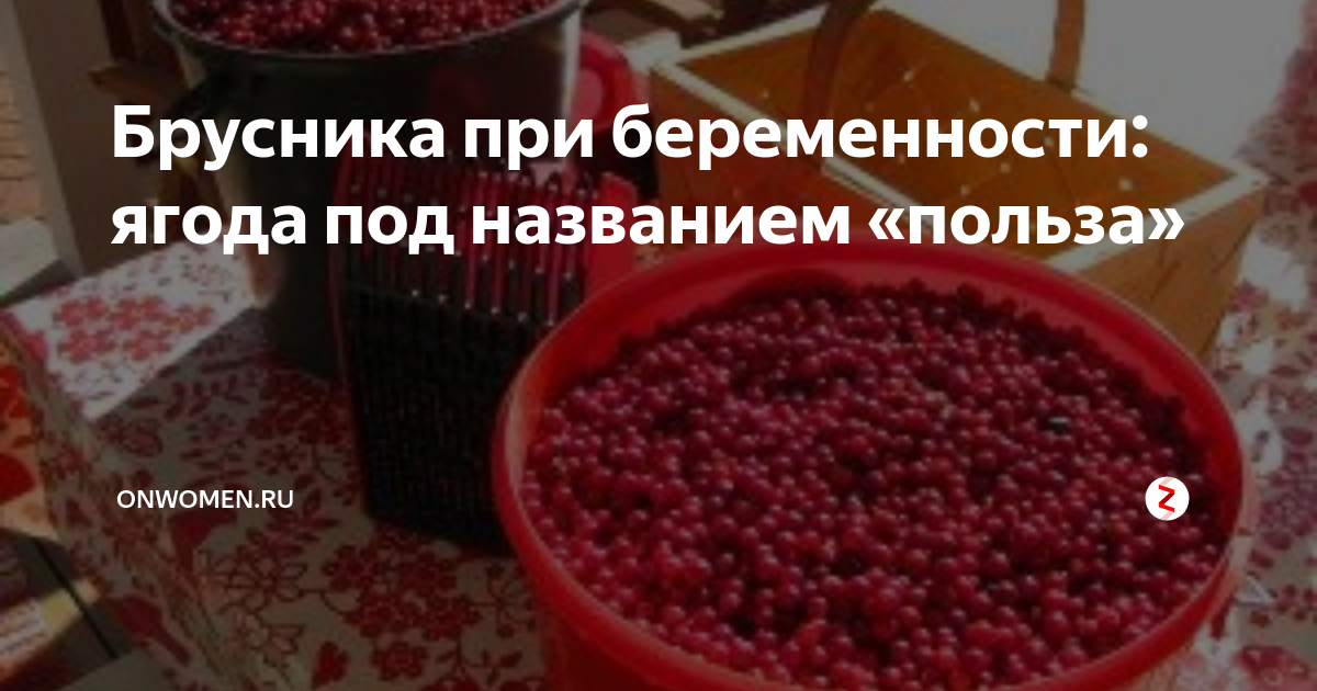 Морс при беременности 3 триместр. Брусника для беременных. брусника при беременности 3 триместр.