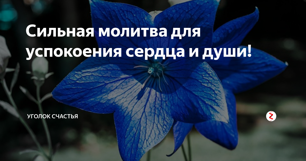 Успокоение сердец. Молитва для успокоения. Молитва для успокоения души и нервов. Молитва успокаивающая душу и сердце. Молитва за успокоение души