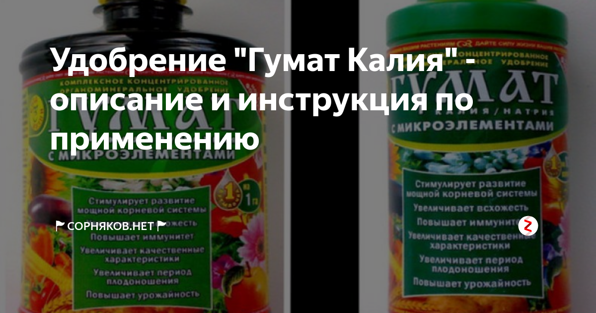 Подкормка огурцов и томатов калием. Гумат калия. Гумат удобрение. Гумат калия жидкий. Подкормка гуматом калия.