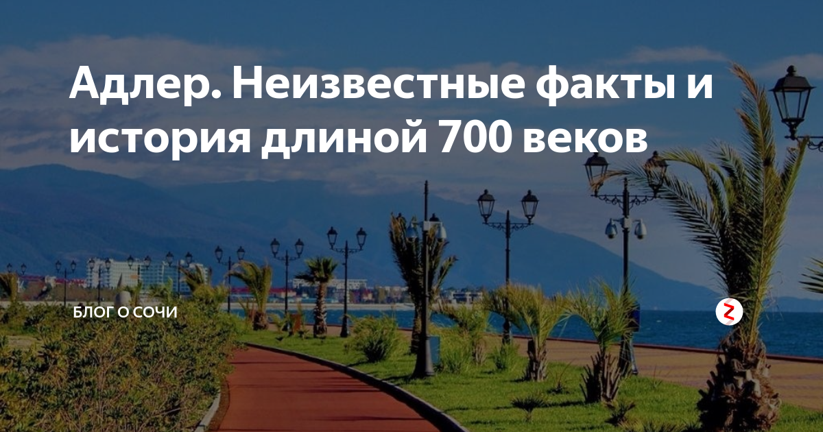 Название канала в дзене. Адлер рассказы на дзене. Адлер рассказы на дзене. Нарративы дзен. Адлер рассказы на дзене.