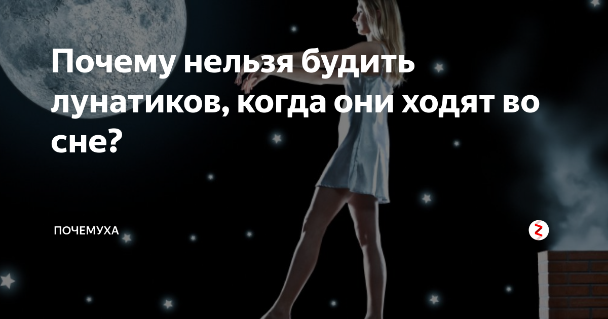 мудрость индейцев. рысь издеваться над мной. объяснит в школу. невозможно разбудить. невозможно разбудить.