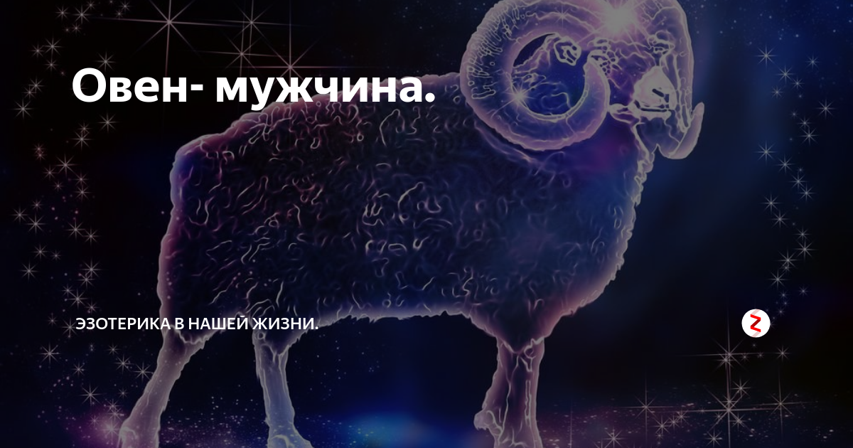 Поздравления овну мужчине. Овен мужчина. Овен в жизни. Овен упрямый. ЗЗ Овен.