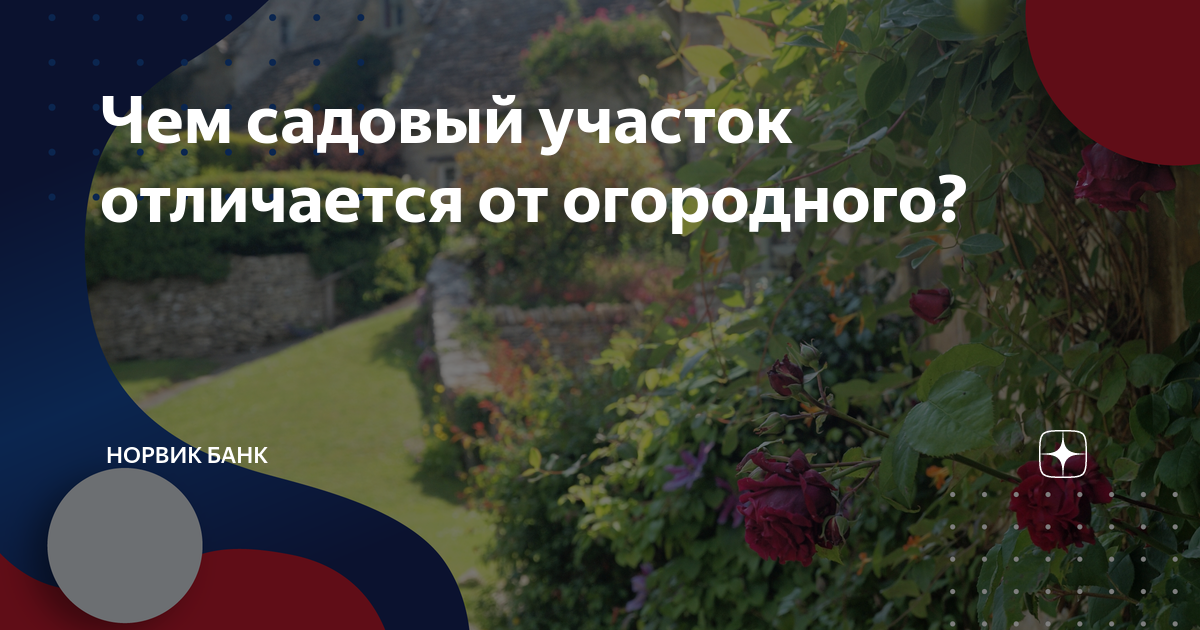 Чем садовый участок отличается от огородного? | Норвик Банк | Дзен
