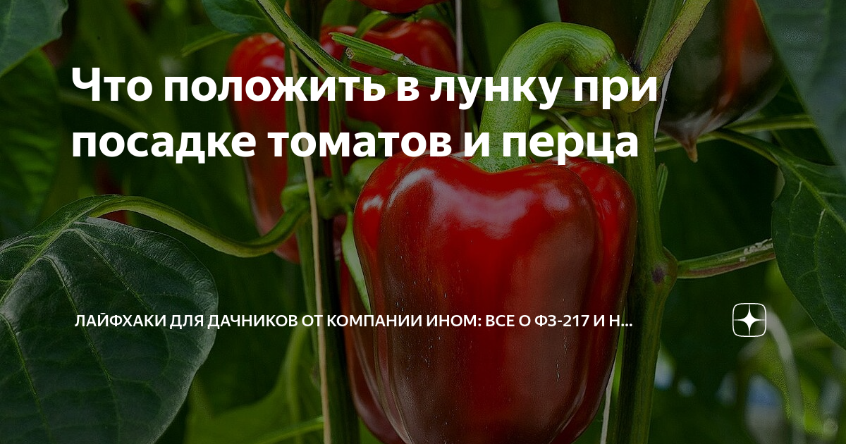 Об особенностях оказания услуг такси с использованием агрегаторов