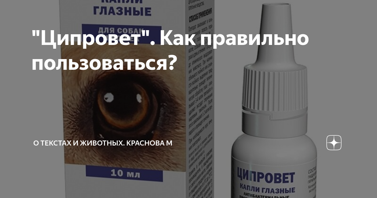 Ципровет для кошек инструкция по применению капли