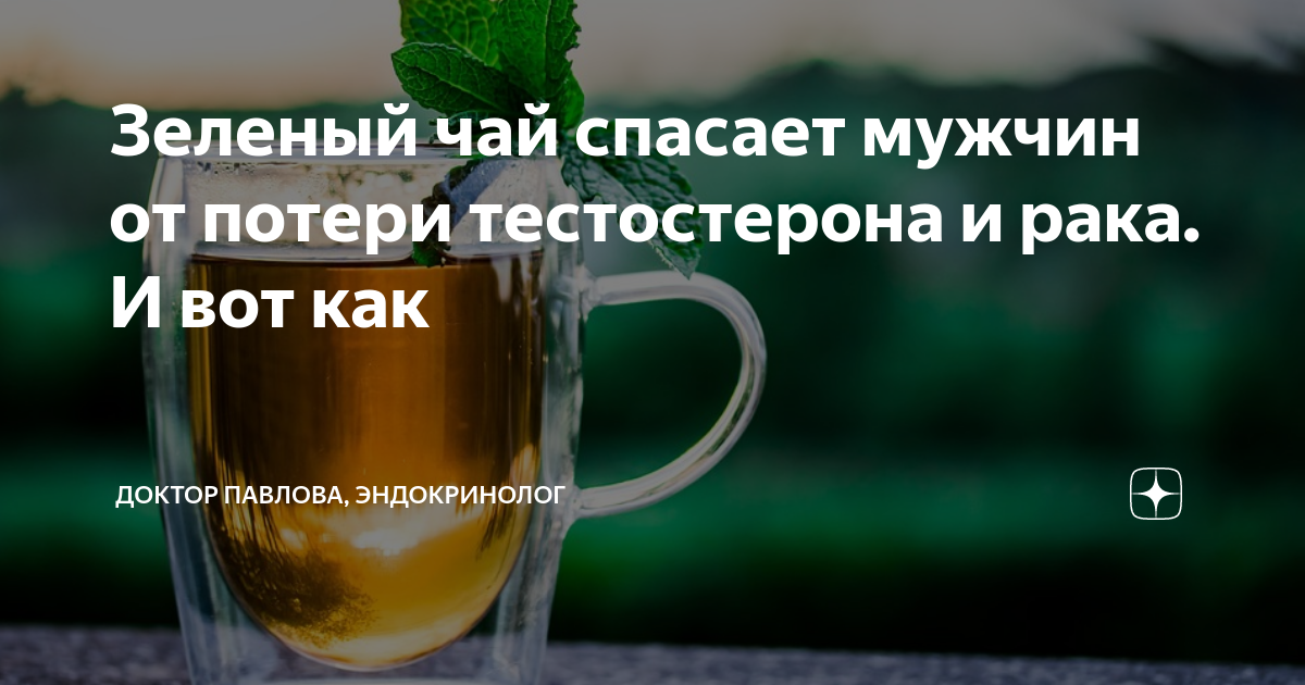 Польза зеленого чая для мужчины. Польза зеленого чая для мужчин