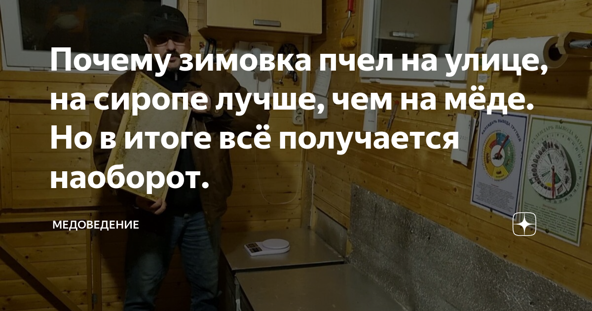 Почему зимовка пчел на улице, на сиропе лучше, чем на мёде. Но в итоге ...