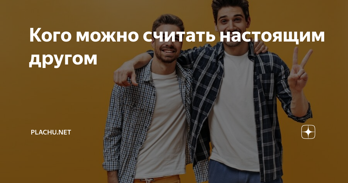 Кого можно считать настоящим другом | Plachu.net | Дзен