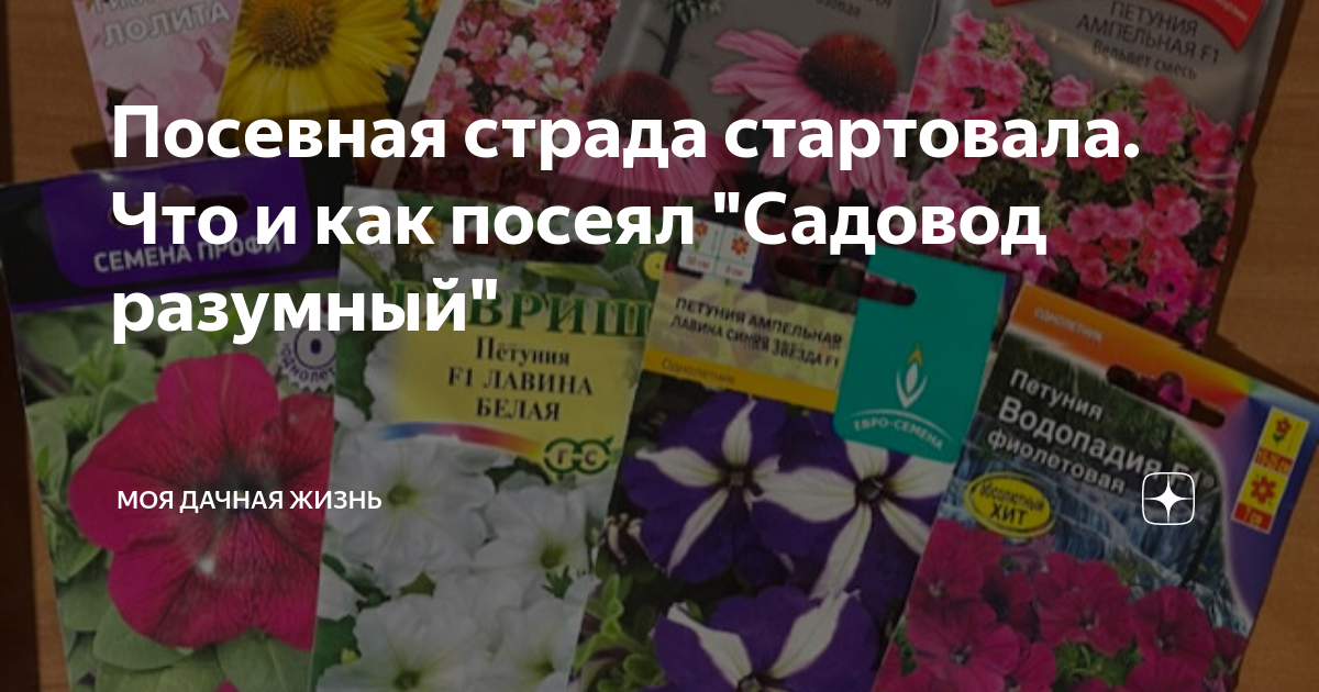 Посевная страда стартовала. Что и как посеял "Садовод разумный" | Моя ...