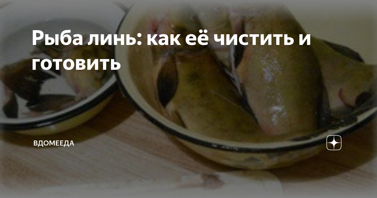 Линь как чистить