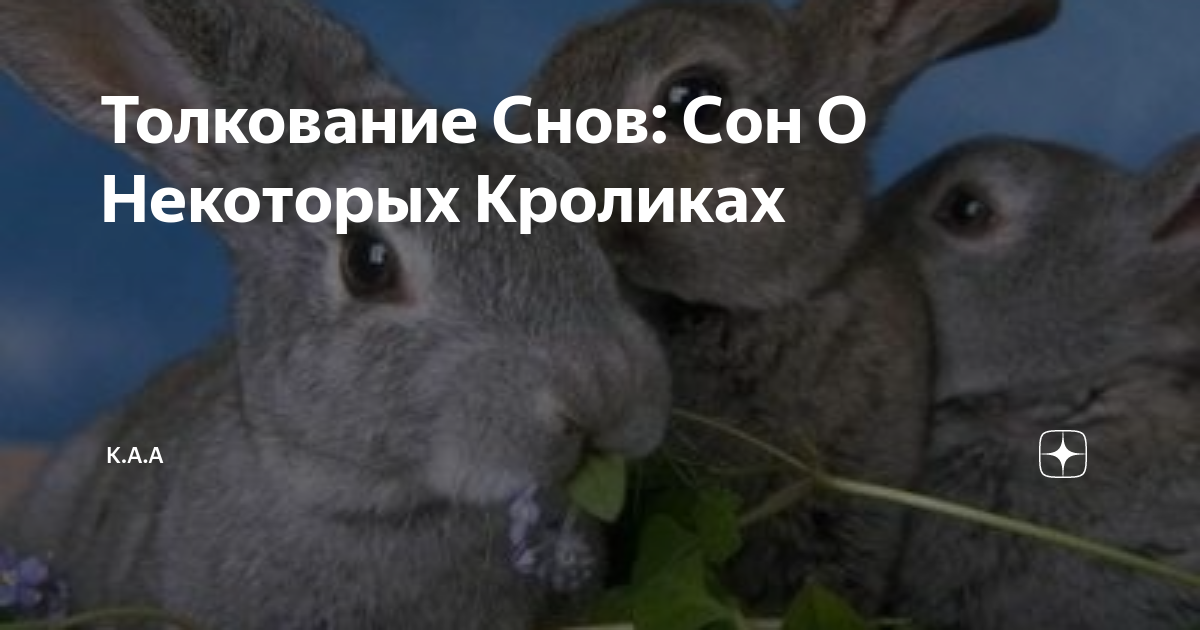 Кролики породы паннон. К чему снятся кролики. Сон кролики живые к чему снится женщине. Кролики. Кролики светло-серый.