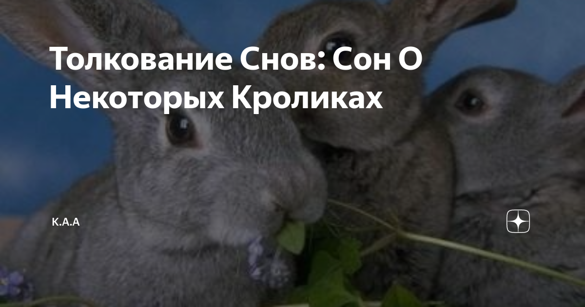 К чему снятся кролики во сне женщине