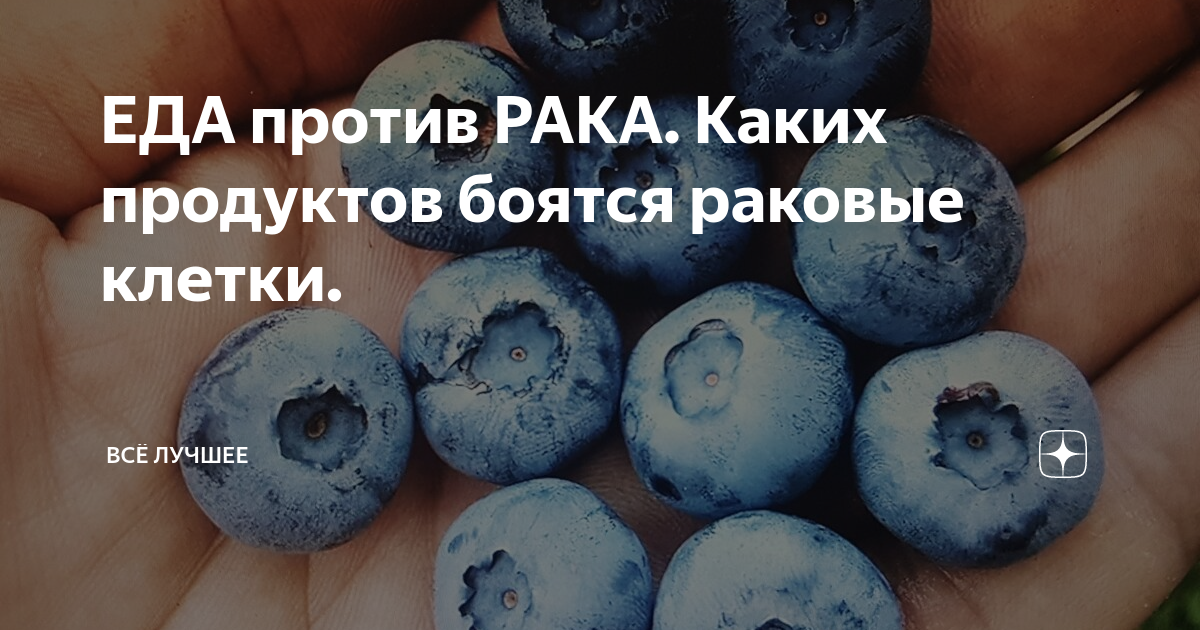 Очень боюсь рака. Каких продуктов боятся раковые клетки. Ягода против раковых клеток. Чего боится раковая клетка. Что не любят раковые клетки в питании.