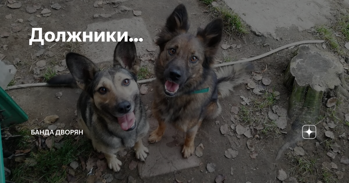 Приюты дворян
