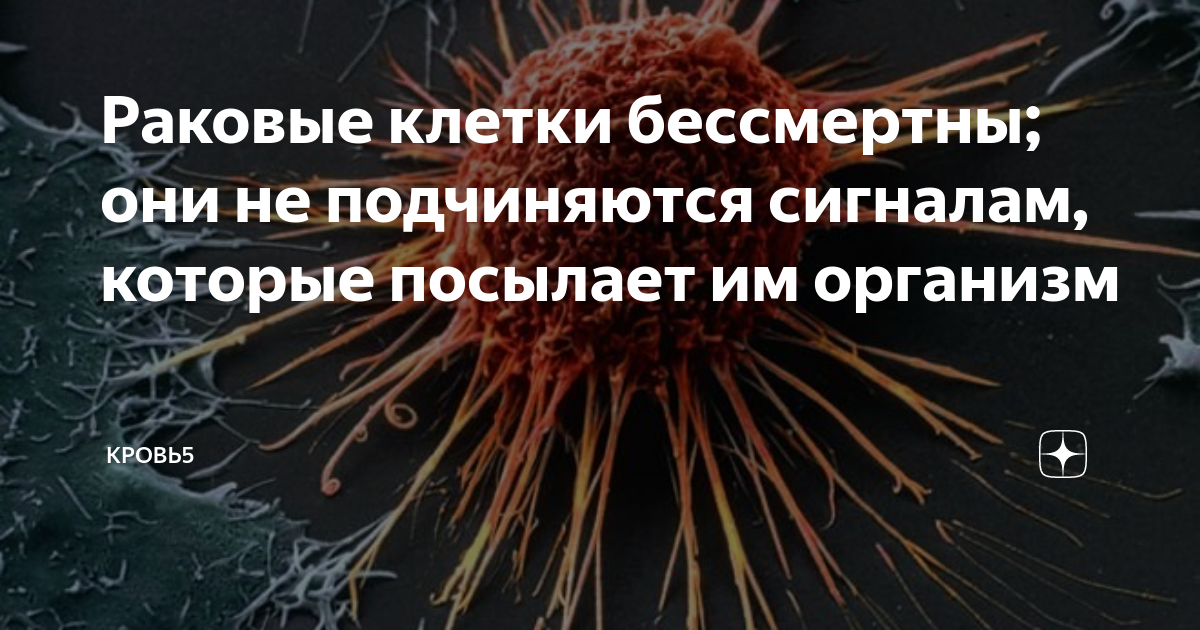 правду убивают раковые клетки