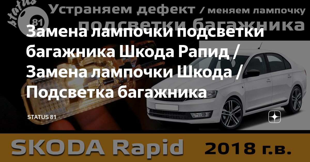 Замена ламп в автомобилях Шкода г. Киров