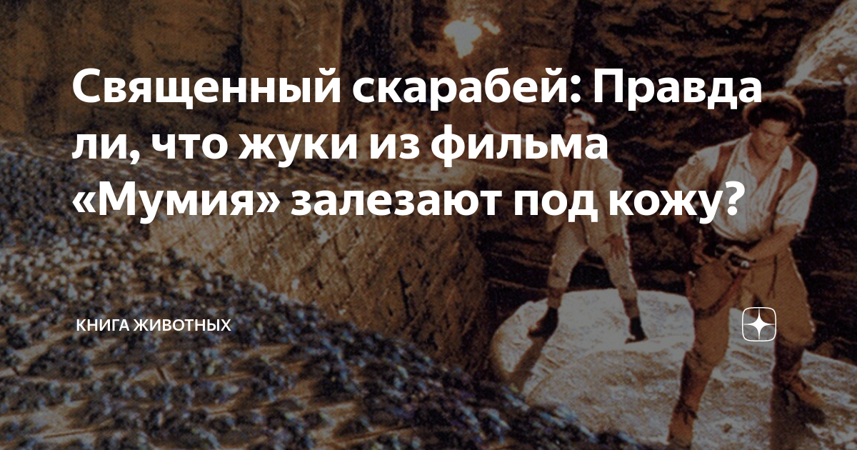 фильм мумия жуки скарабеи. арнольд вослу мумия 1999. фильм мумия 1999 скарабеи. мумия 1999 жуки скарабеи. мумия фильм 1999 жуки скарабеи.