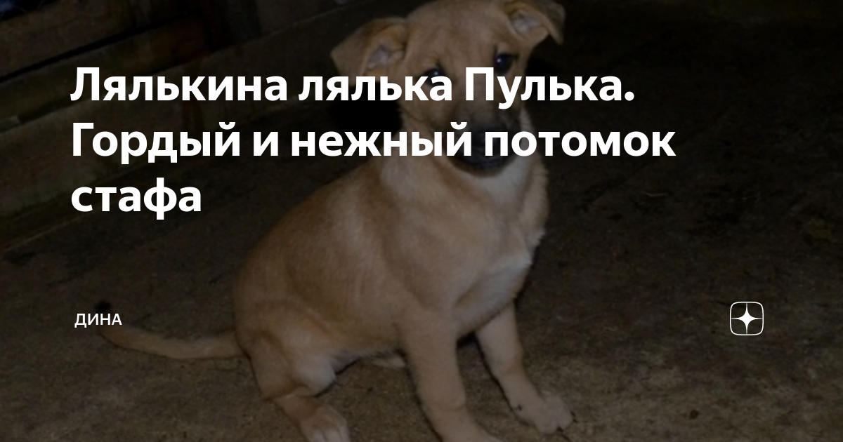 Лена лялькина 