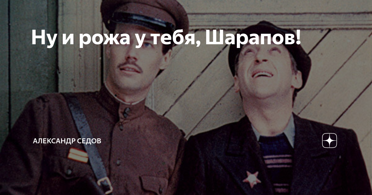 Ну и рожа у тебя, Шарапов! | Александр Седов | Дзен