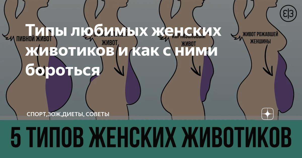 Типы живота. Типы живота у женщин. Диета по типу живота. Виды женских Животов.