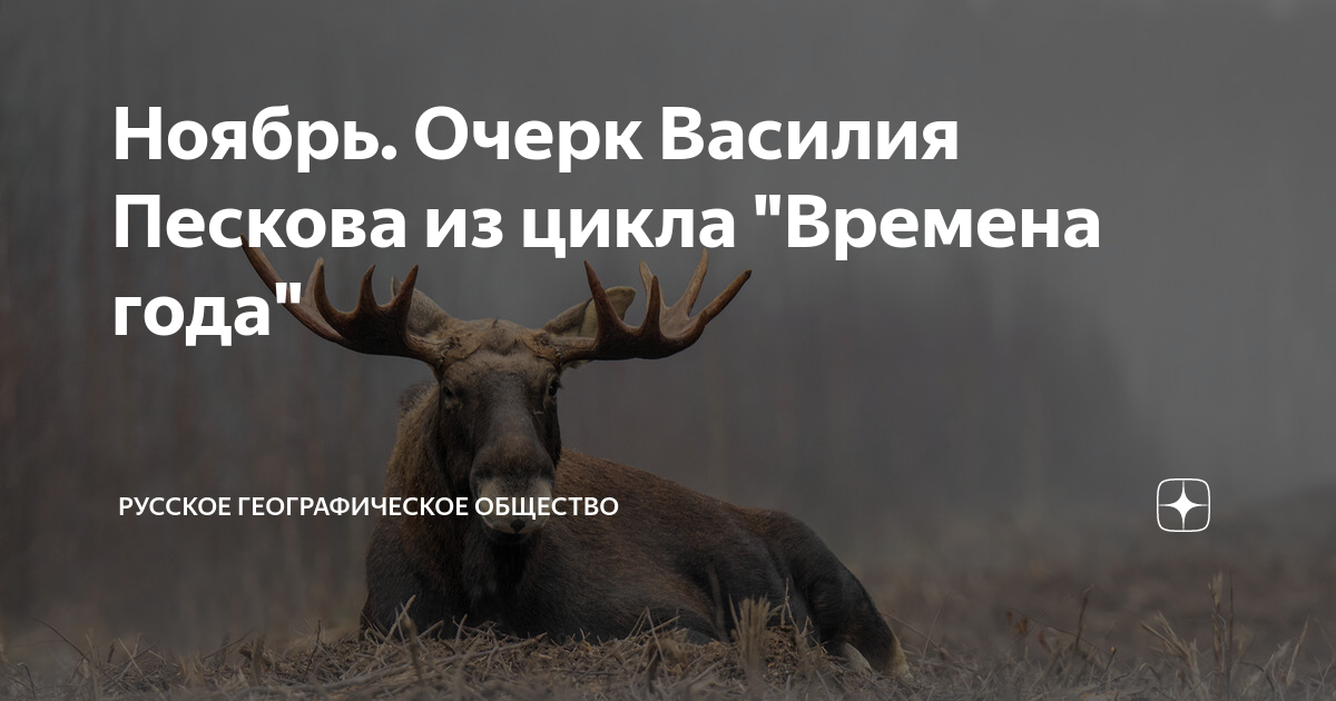 В. Что написал песков. Портрет василия пескова. Очерки василия пескова. Книги пескова.