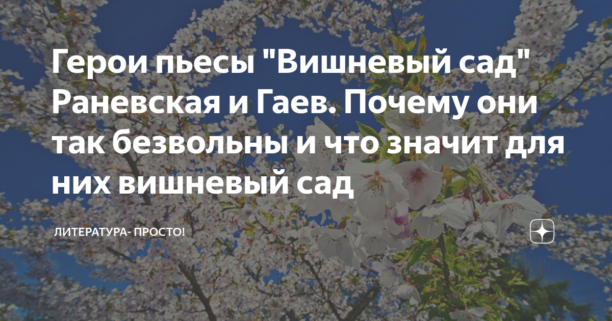 В чем вина владельцев вишневого сада. Три проекта Гаева о спасении вишневого сада. Потеря вишневого сада для Раневской. Вишневый сад Чехова Раневская и Гаев. Причины банкротства вишнёвый сад.