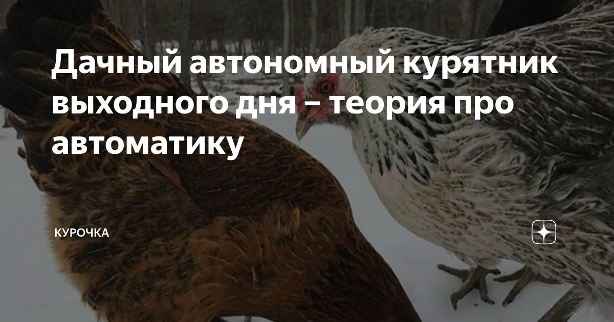 Дачный автономный курятник выходного дня – теория про автоматику ...