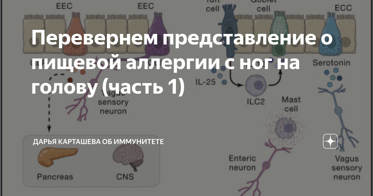 Перевернет представление