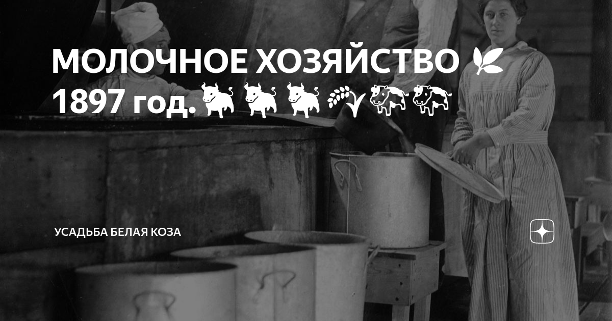 МОЛОЧНОЕ ХОЗЯЙСТВО 🌿1897 год.🐂🐂🐂🌾🐄🐄 | Усадьба Белая Коза | Дзен