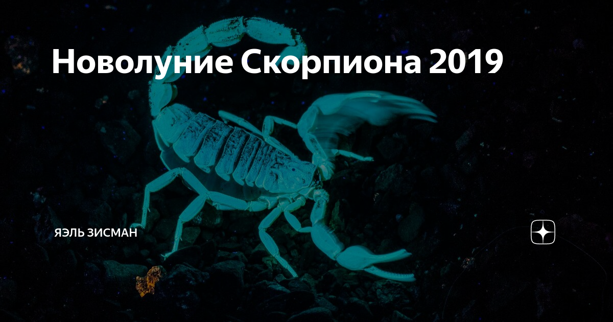 Скорпиона 2021. Скорпион когда начинается.