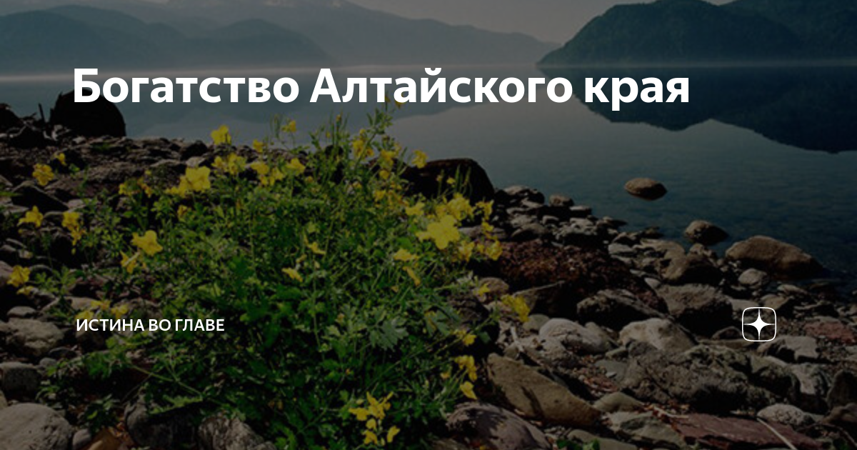 Богатства Алтайского края. Природные богатства Алтайского края. Рисунок богатство Алтайского края. Богатство Алтая это люди. Водные богатства алтайского края 2 класс