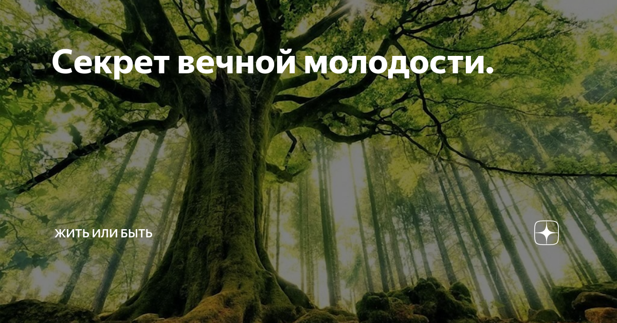 Секрет вечной молодости. Секреты вечной молодости. Вечная молодость как достичь. Картинки стих секрет вечной молодости. Секреты вечной молодости памятка.